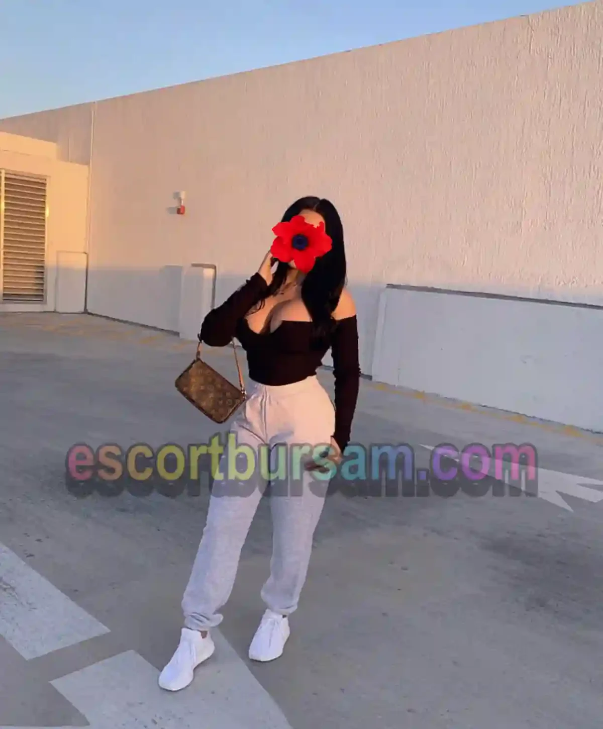 Bursa Seks Kölesi Escort Şimal